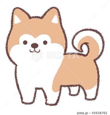 秋田犬 犬 動物 かわいいのイラスト素材