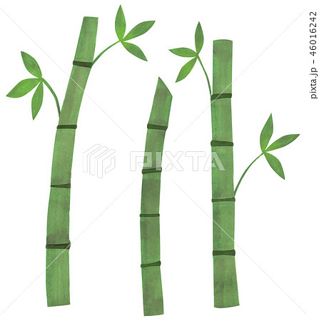 竹林 竹 バンブー 緑のイラスト素材