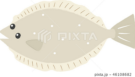 ひらめのイラスト素材