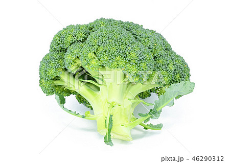 緑花野菜の写真素材