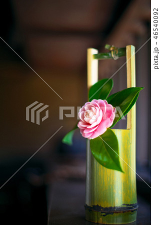 和室 花瓶 植物 古民家の写真素材