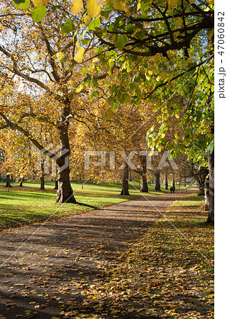 イギリス 英国 ロンドン グリーン パークの写真素材