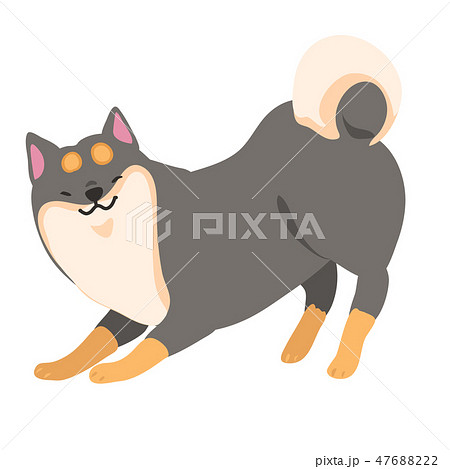 柴犬 日本犬 犬 黒柴のイラスト素材 - PIXTA
