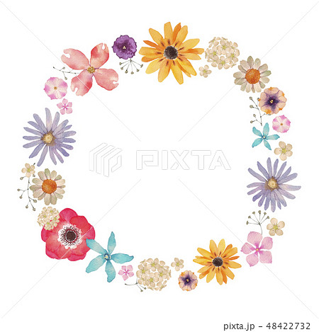 夏の花のイラスト素材集 ピクスタ