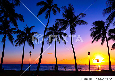 ハワイの景色の写真素材