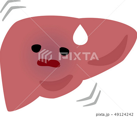 肝臓のイラスト素材