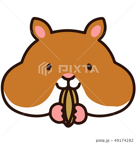 ヒマワリの種のイラスト素材