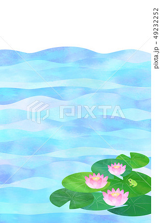 睡蓮のイラスト素材