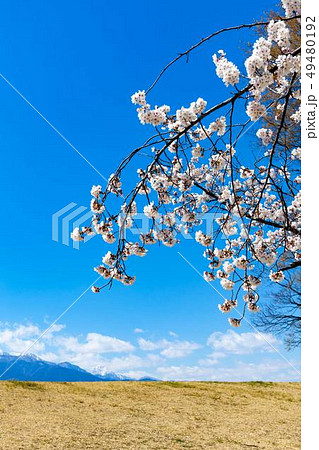 信玄堤の写真素材