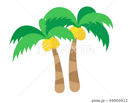 パイナップルの木の写真素材 Pixta
