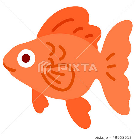 金魚 魚 かわいい シンプルのイラスト素材