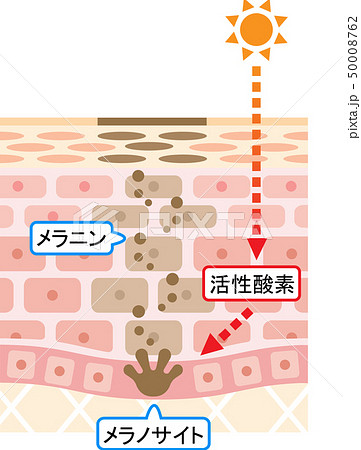 活性酸素のイラスト素材