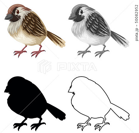 雀 デザインのイラスト素材