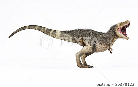 恐竜 ティラノサウルス 古生物 羽毛恐竜の写真素材