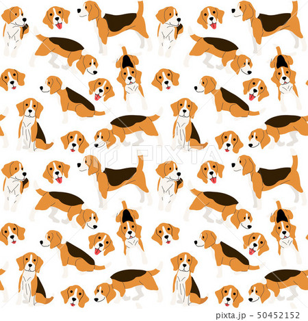 ビーグル 動物 わんこ 犬のイラスト素材