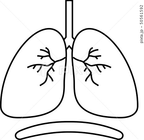 肺気胸のイラスト素材