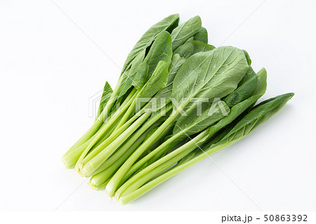 葉物野菜の写真素材