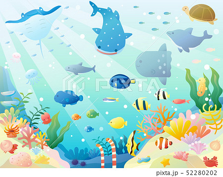 海の動物のイラスト素材集 Pixta ピクスタ