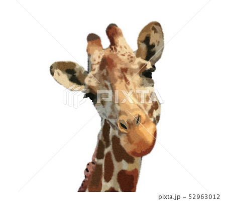 きりん キリン マンガ 透明水彩のイラスト素材