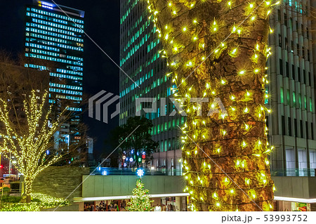 新宿西口 夜景 高層ビル 街路樹の写真素材