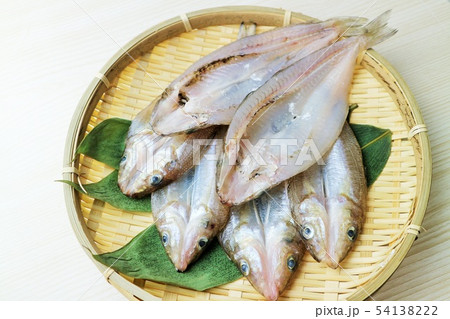 きす キス 魚 海水魚の写真素材