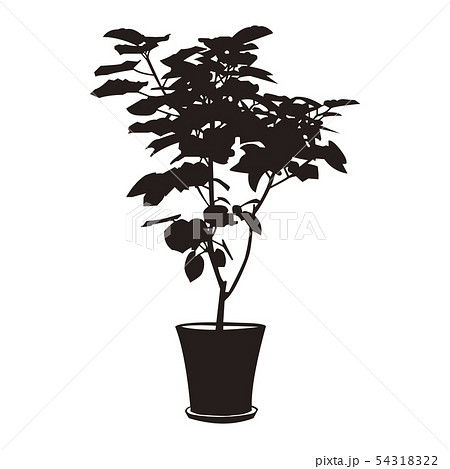 鉢植え 白黒 植木 モノトーンのイラスト素材