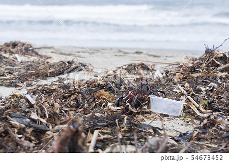 海洋汚染の写真素材
