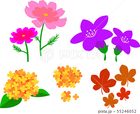 りんどうのイラスト素材