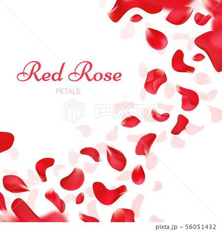 薔薇 花 花びら 散る 赤色のイラスト素材