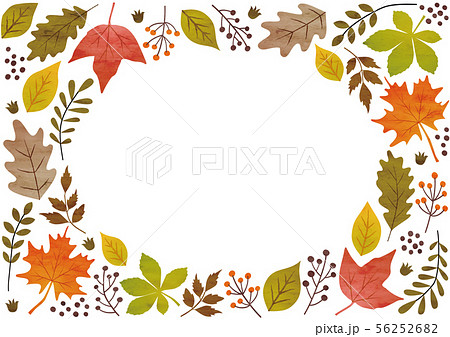枯葉のイラスト素材 Pixta