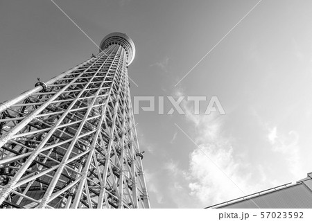 東京 スカイツリー モノクロの写真素材