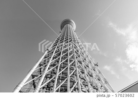 東京 スカイツリー モノクロの写真素材