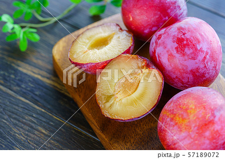 セイヨウスモモの写真素材