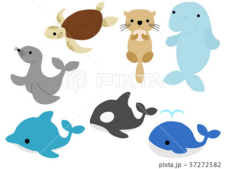 Sea animals/Marine animals/Aquatic animals PNGs - PIXTA