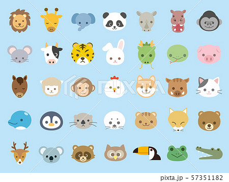 セット 顔 動物 ぶたのイラスト素材