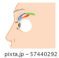 眠そうな目のイラスト素材