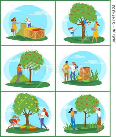 木のバスケット ベクトル ドローイング 木 かごのイラスト素材