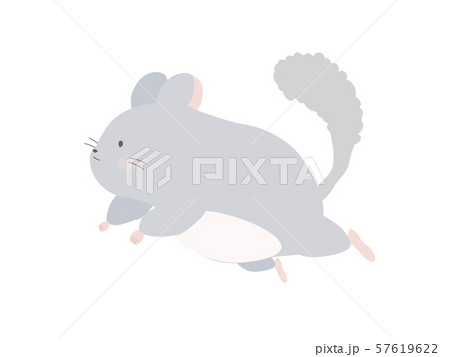 チンチラのイラスト素材集 ピクスタ