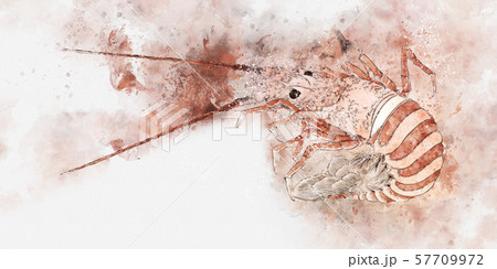 動物 ザリガニ かわいい イラストのイラスト素材