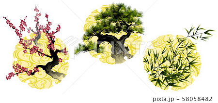松竹梅 梅 竹 松のイラスト素材 - PIXTA 松竹梅 梅 竹 松のイラスト素材 - PIXTA