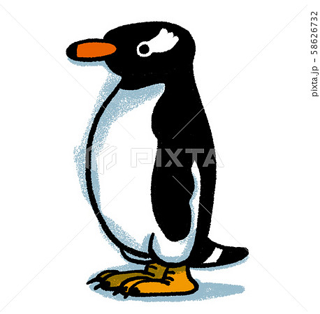 ジェンツーペンギンのイラスト素材 - PIXTA