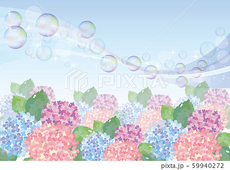 あじさい寺のイラスト素材