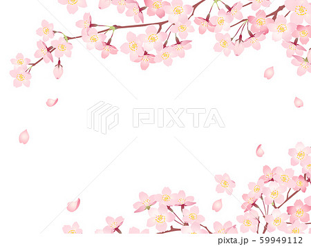 桜 花 花びら 春のイラスト素材