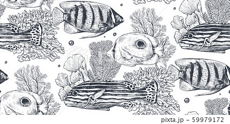 魚 黒 海中 綺麗のイラスト素材