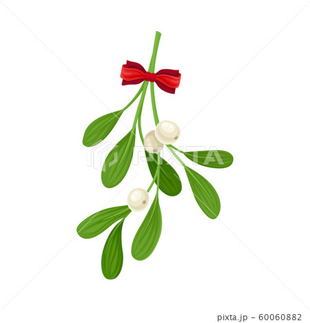 ヤドリギ クリスマスのイラスト素材