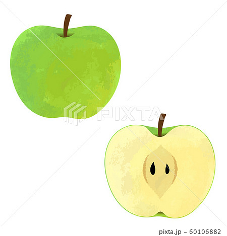 青りんごのイラスト素材
