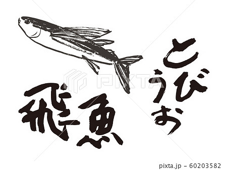 トビウオ アゴ 魚 飛魚のイラスト素材