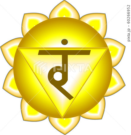 太陽 神経 叢