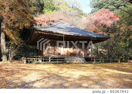 国宝 富貴寺 紅葉 銀杏の写真素材 Pixta