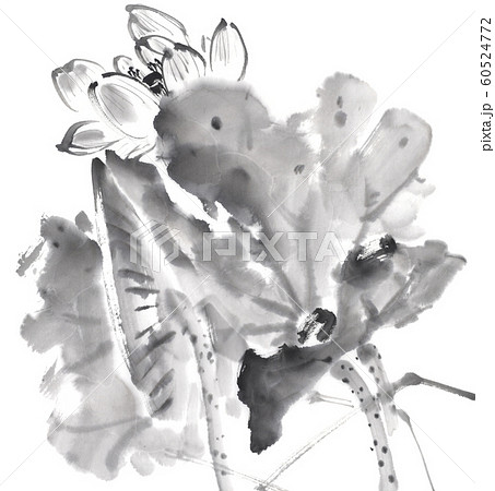 花 蓮 手書き 水墨画のイラスト素材